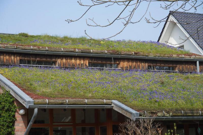 Entretien de toiture &agrave; Brignais : les gestes indispensables